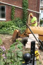 StumpGrinding